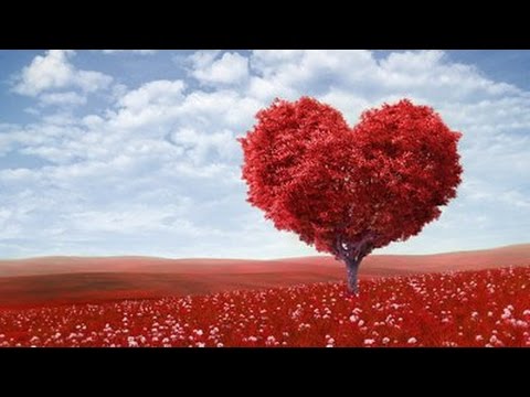 Pureza de coração - 12/02/2020 8 hqdefault