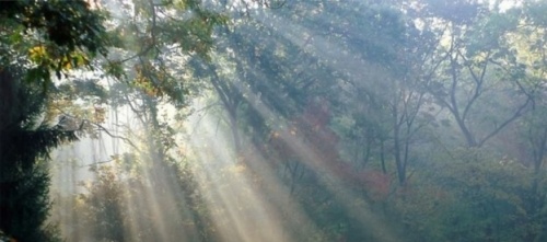 luce