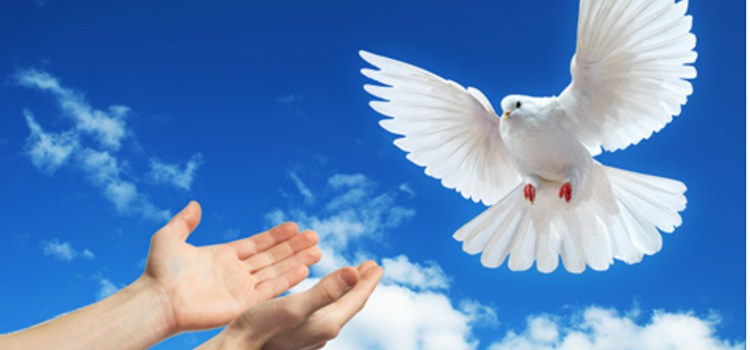 Mãe, ensina-nos a ser transmissores da paz - 01/01/2020 1 paz no ano novo